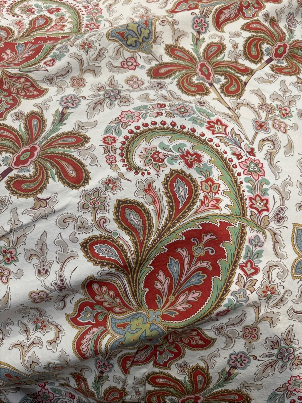 Pottery Barn Charlie Paisley Duvet Cover & Shams - Picture 4 of 7